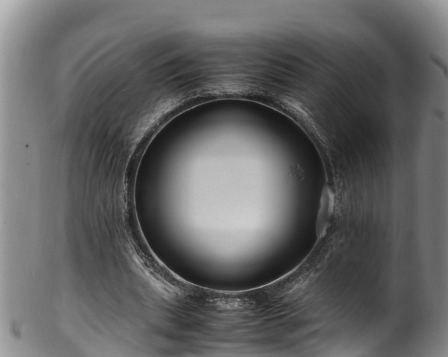 X0000100880439200806271141