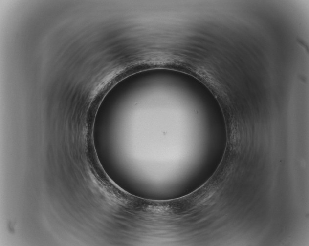 X0000100880440200806271141