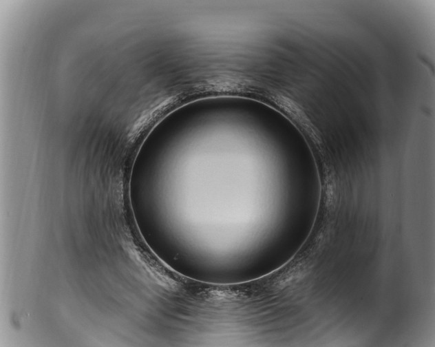 X0000100880442200806271141