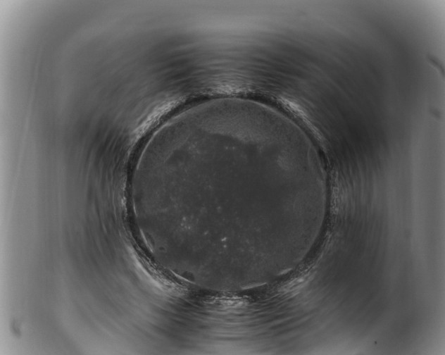 X0000100880443200806271141