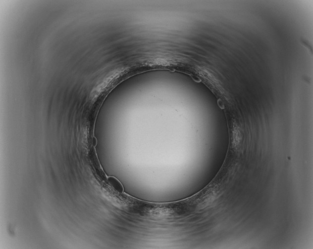 X0000100880444200806271141