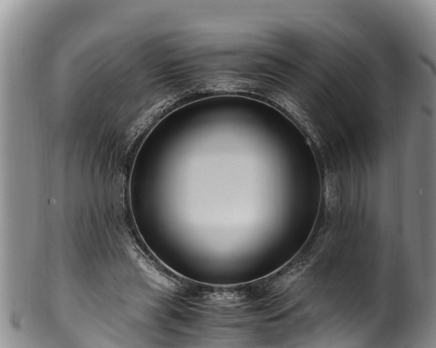 X0000100880445200806271141