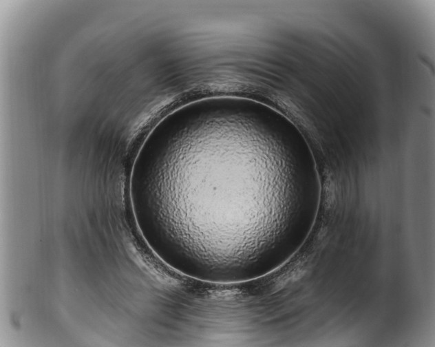 X0000100880446200806271141