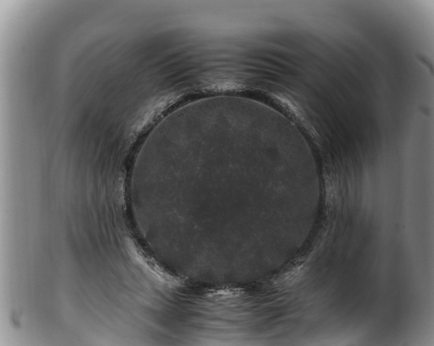 X0000100880447200806271141