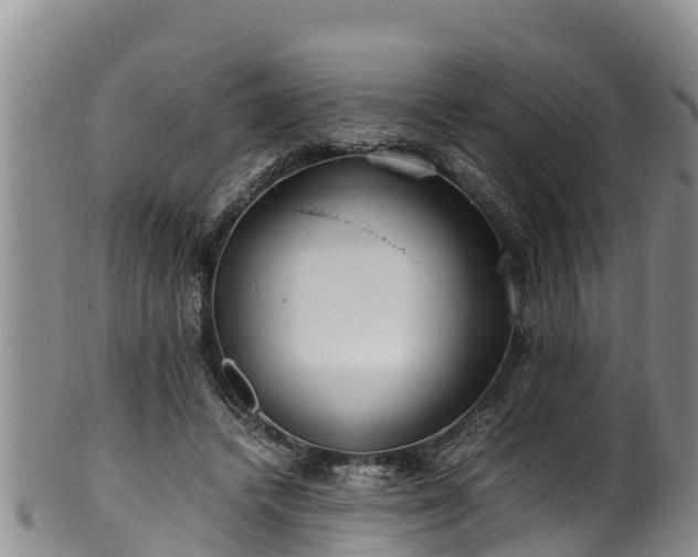 X0000100880448200806271141