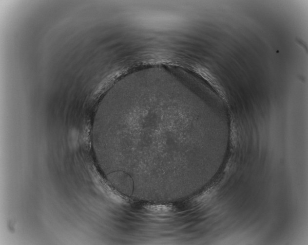 X0000100880449200806271141