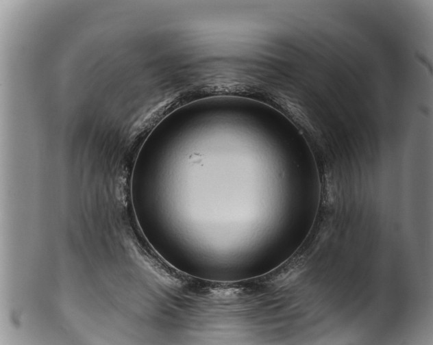 X0000100880450200806271141