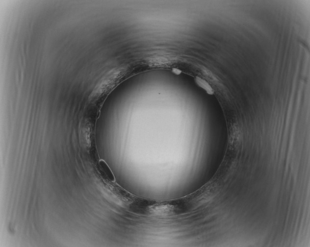 X0000100880452200806271141