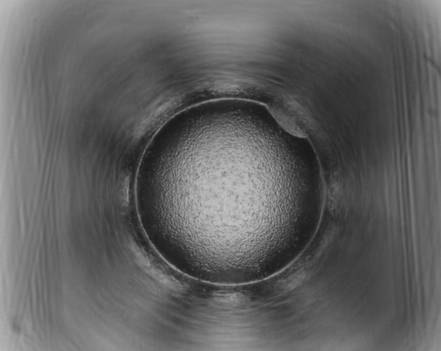 X0000100880454200806271142