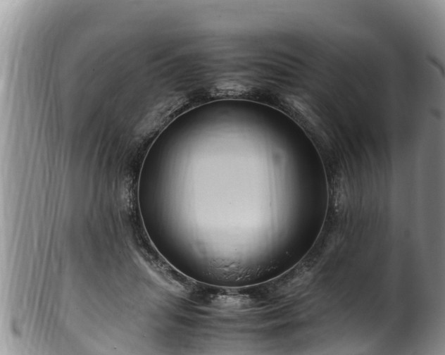 X0000100880455200806271142