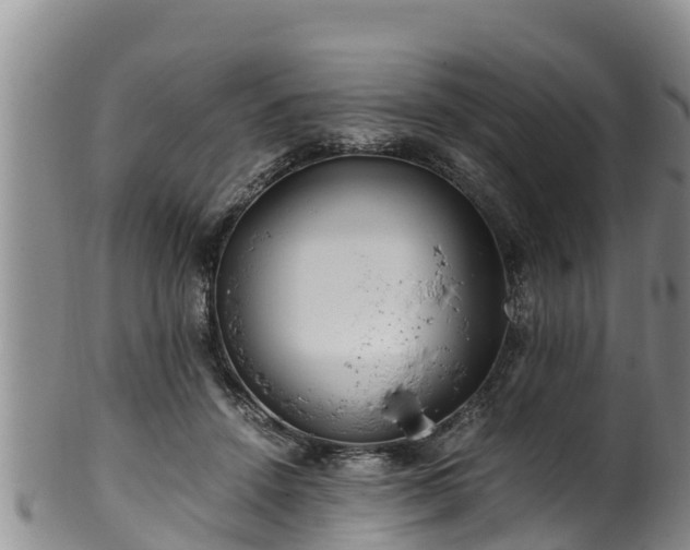 X0000100880456200806271142