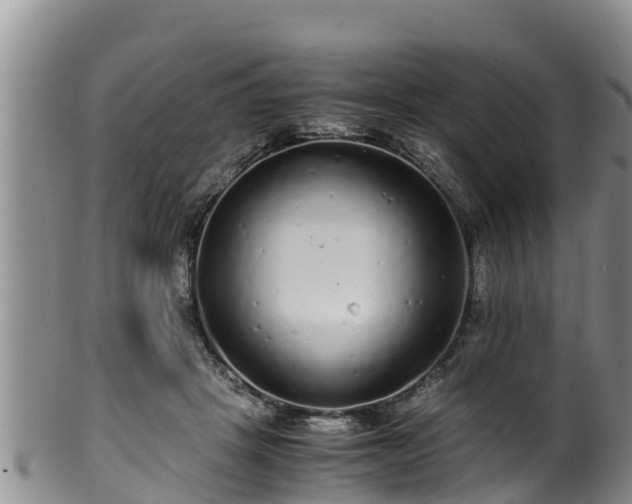 X0000100880457200806271142