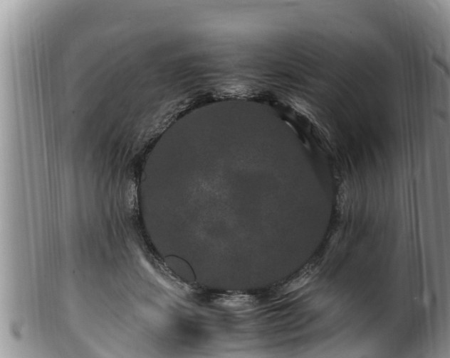 X0000100880459200806271142