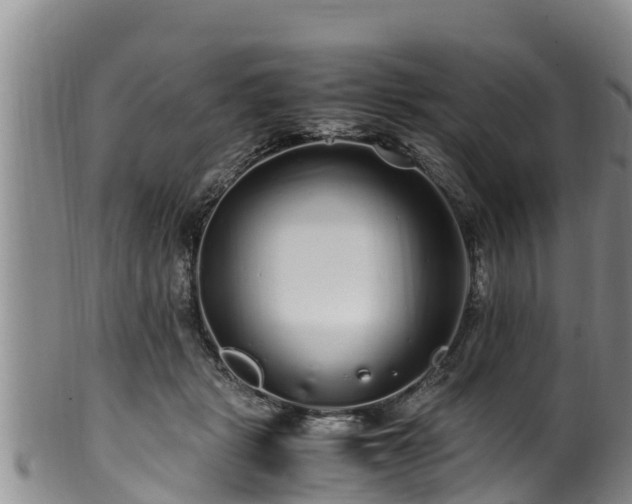 X0000100880461200806271142