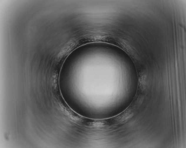 X0000100880462200806271142