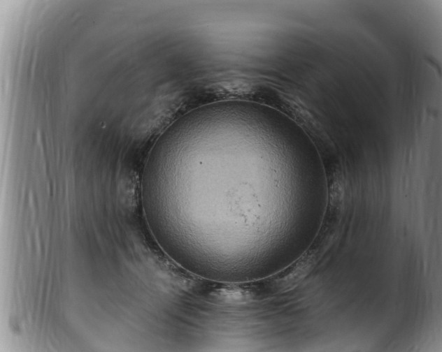 X0000100880464200806271142