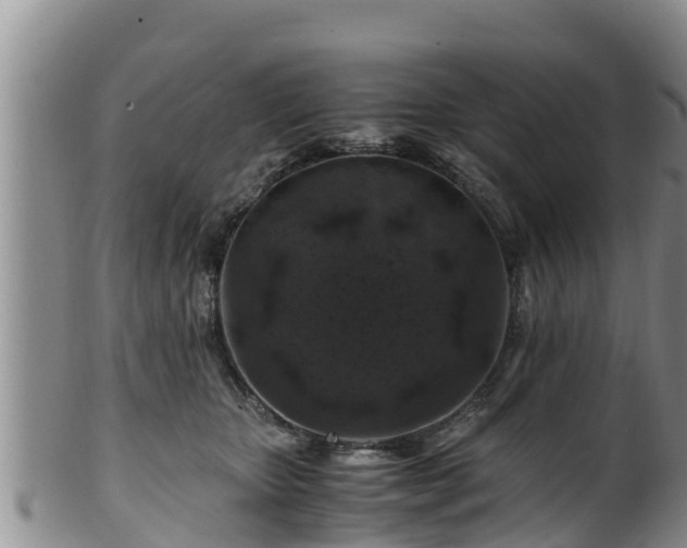 X0000100880467200806271142