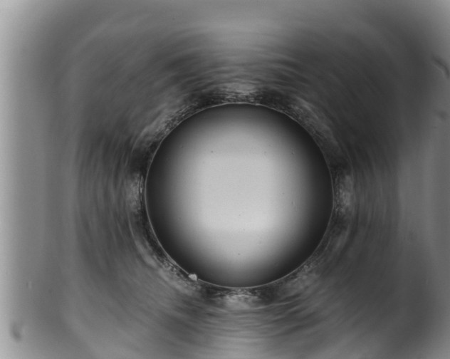 X0000100880468200806271142