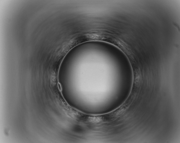 X0000100880469200806271142