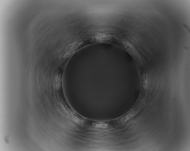 X0000100880471200806271142