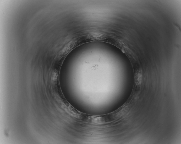 X0000100880472200806271142