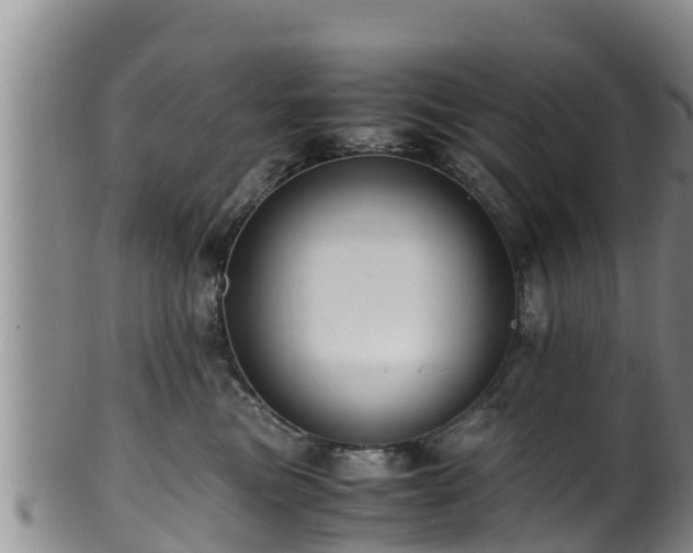 X0000100880473200806271142