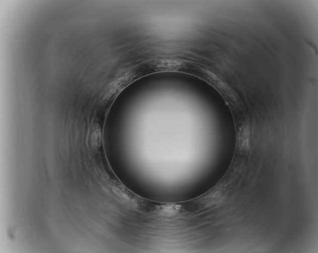 X0000100880474200806271142