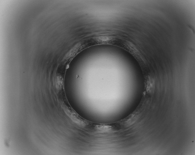 X0000100880476200806271142