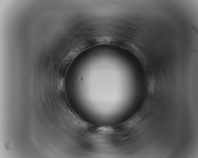 X0000100880477200806271142