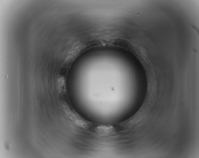 X0000100880480200806271142