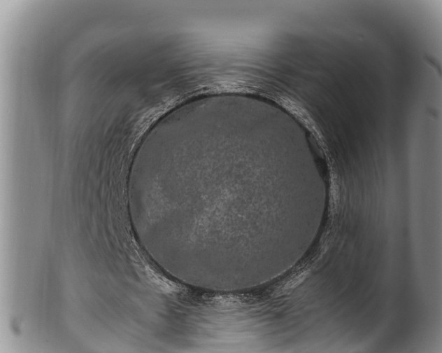 X0000100880481200806271141