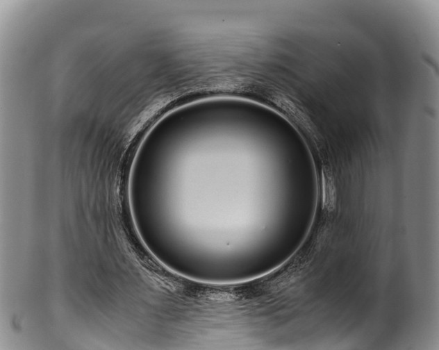 X0000100880483200806271141