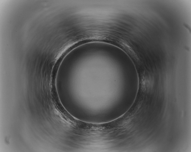 X0000100880484200806271141