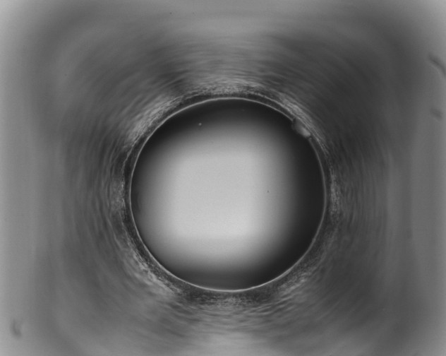 X0000100880485200806271141