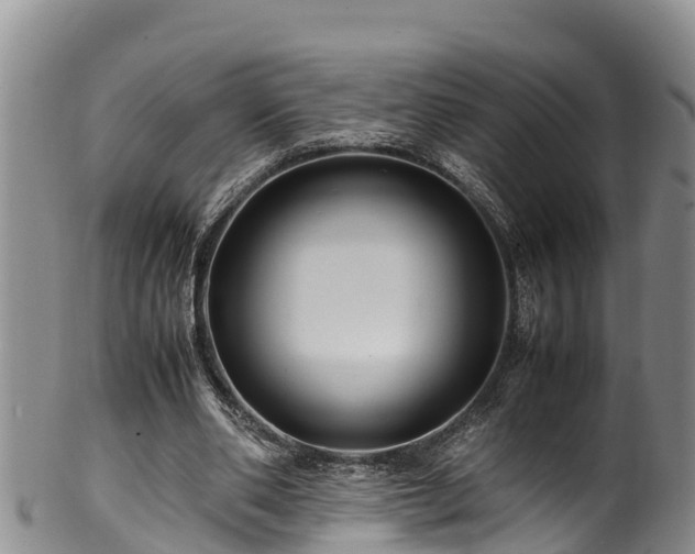 X0000100880486200806271141