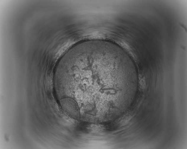 X0000100880487200806271141