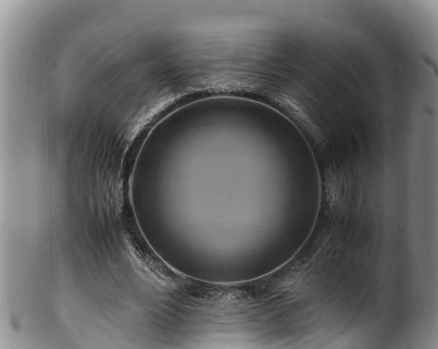 X0000100880488200806271141