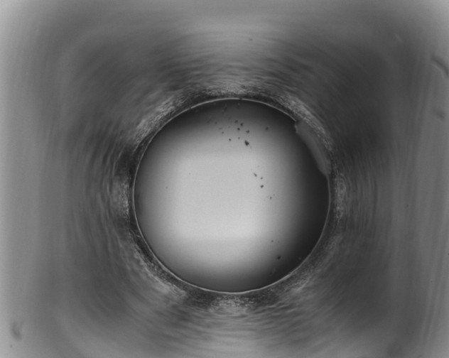 X0000100880489200806271141