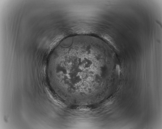 X0000100880491200806271141