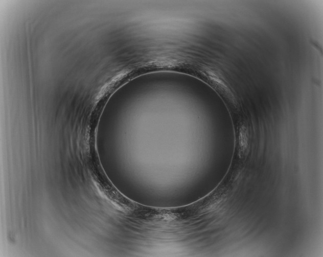 X0000100880492200806271141