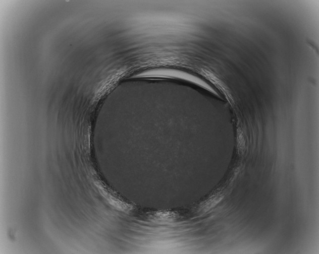 X0000100880493200806271141