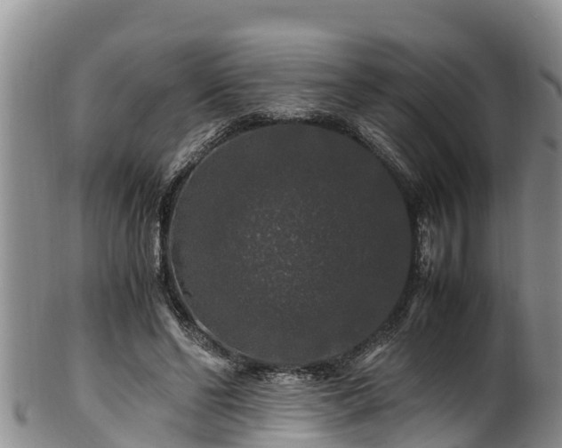 X0000100880494200806271141