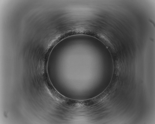 X0000100880496200806271141