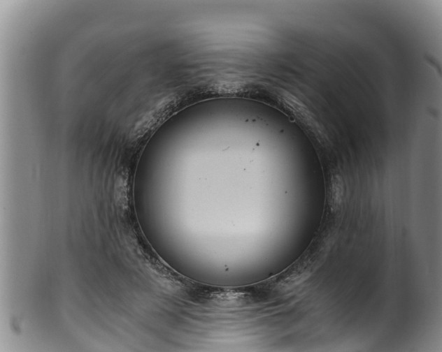 X0000100880497200806271141