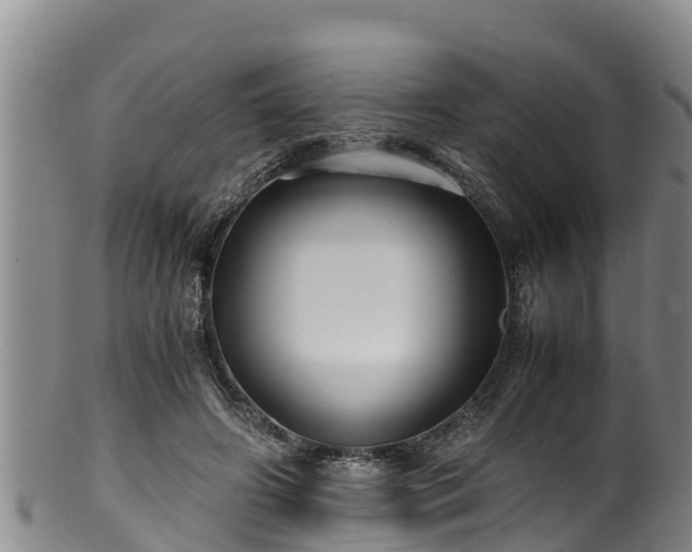 X0000100880498200806271141