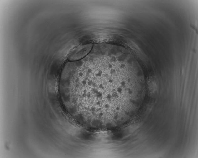 X0000100880499200806271141