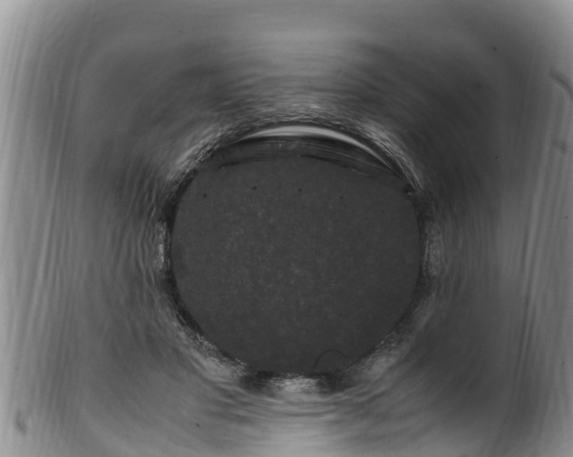 X0000100880501200806271141