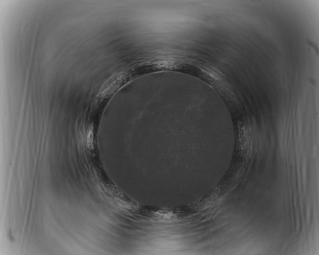 X0000100880502200806271141