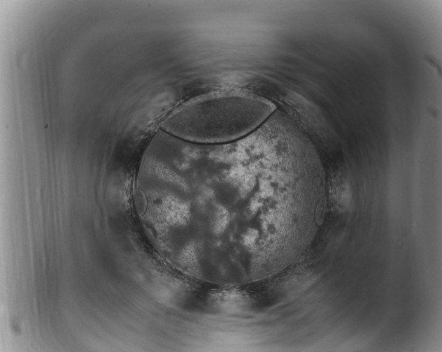 X0000100880503200806271141