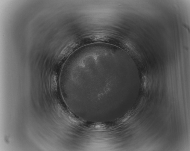 X0000100880506200806271141